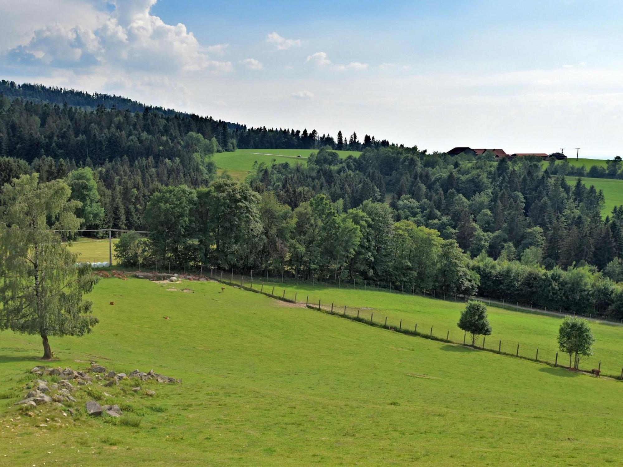 Holiday Home With Panoramic View Waldkirchen Exterior foto